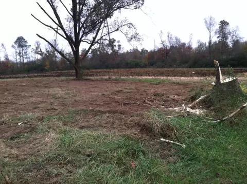 1007 County Road 387, Dutton, AL 35744 photo 9