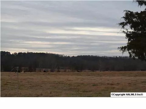 230 County Road 365, Trinity, AL 35673 photo 11