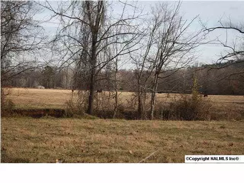 230 County Road 365, Trinity, AL 35673 photo 8