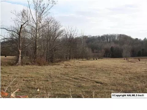230 County Road 365, Trinity, AL 35673 photo 6