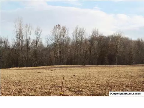 230 County Road 365, Trinity, AL 35673 photo 3