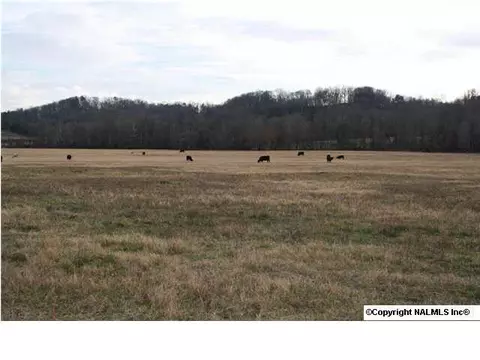 230 County Road 365, Trinity, AL 35673 photo 9