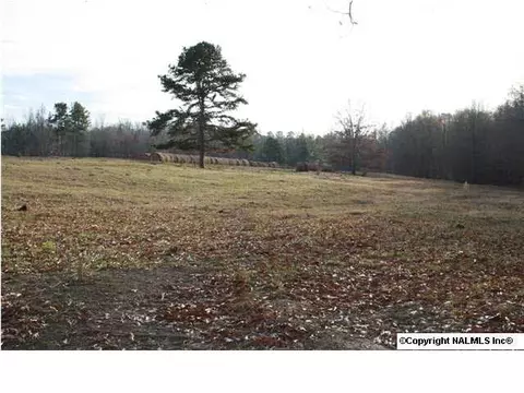 230 County Road 365, Trinity, AL 35673 photo 1