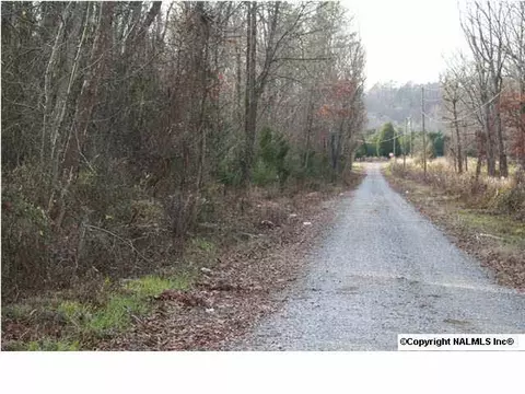 230 County Road 365, Trinity, AL 35673 photo 5