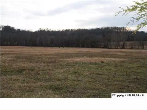 230 County Road 365, Trinity, AL 35673 photo 10