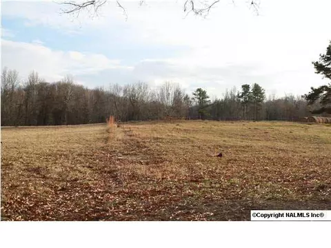230 County Road 365, Trinity, AL 35673 photo 2