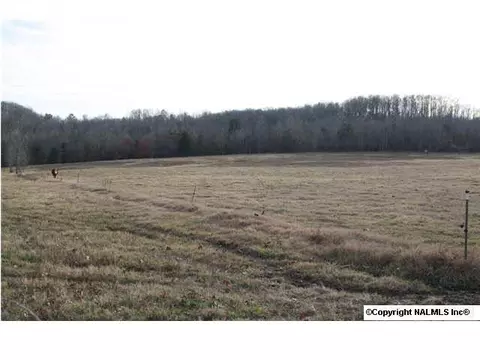 230 County Road 365, Trinity, AL 35673 photo 7