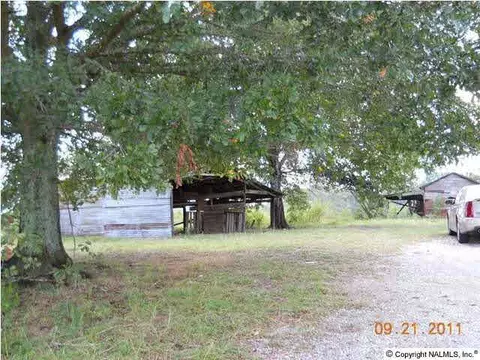 368 County Road 299, Trinity, AL 35673 photo 1