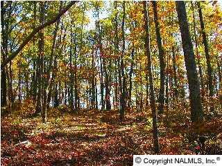 7 Blowing Cave Rd, Gurley, AL 35748