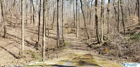 3 2 Acres Northwoods Trl, Gadsden, AL 35901