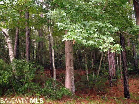 213 Montclair Loop, Daphne, AL 36526 photo 1