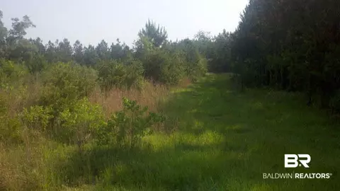 14050 Trawick Rd, Stapleton, AL 36578 photo 1