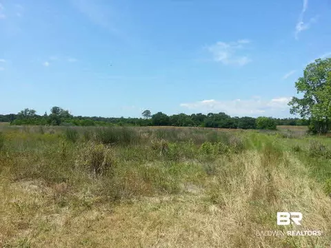 12951 County Road 9, Foley, AL 36535 photo 1