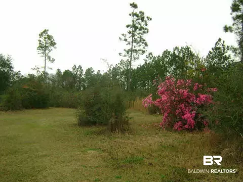29461 Archie Rd, Elberta, AL 36530 photo 1