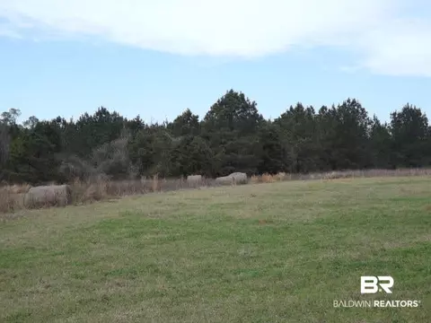 10490 Appleton Rd, Brewton, AL 36426 photo 1
