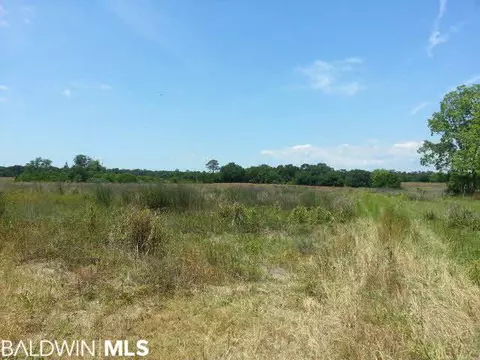 12951 County Road 9, Foley, AL 36535 photo 1