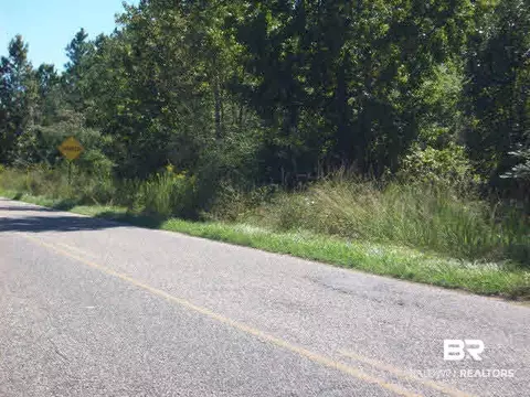 lot43 Woods Rd, Atmore, AL 36502