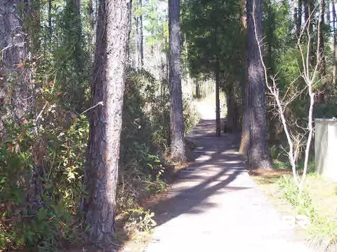 9511 Redfish Dr, Elberta, AL 36530 photo 5