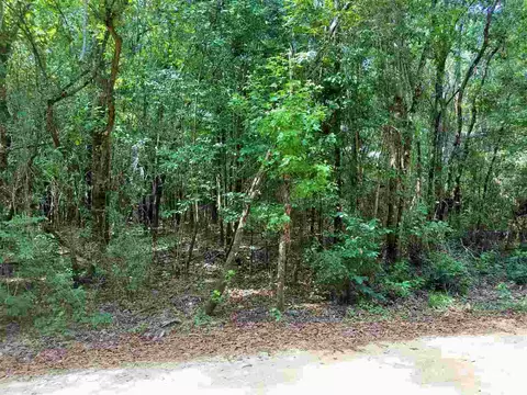 539 551 Brown Rd, Mcdavid, FL 32568 photo 5