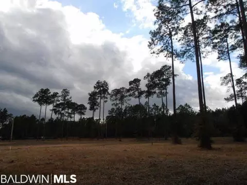 29409 Archie Rd, Elberta, AL 36530 photo 20
