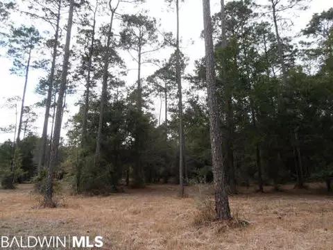 29409 Archie Rd, Elberta, AL 36530 photo 17