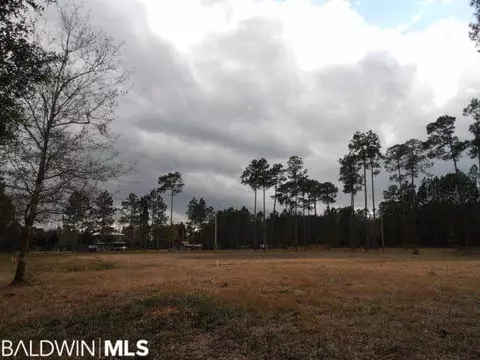 29409 Archie Rd, Elberta, AL 36530 photo 19