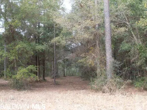 29409 Archie Rd, Elberta, AL 36530 photo 15