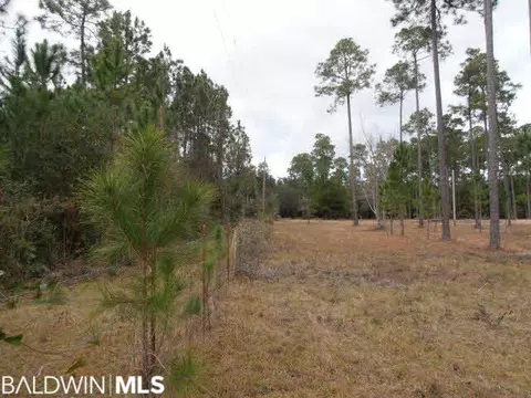 29409 Archie Rd, Elberta, AL 36530 photo 10