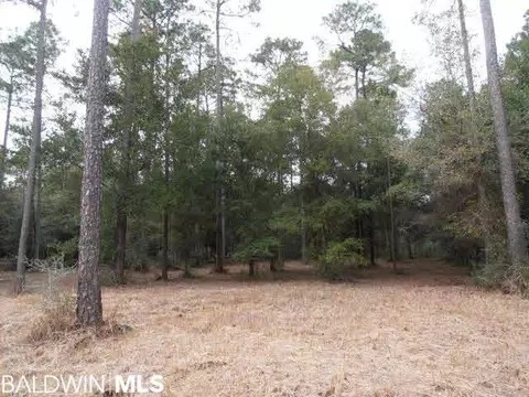 29409 Archie Rd, Elberta, AL 36530 photo 16