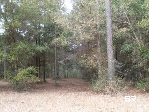 29409 Archie Rd, Elberta, AL 36530 photo 15