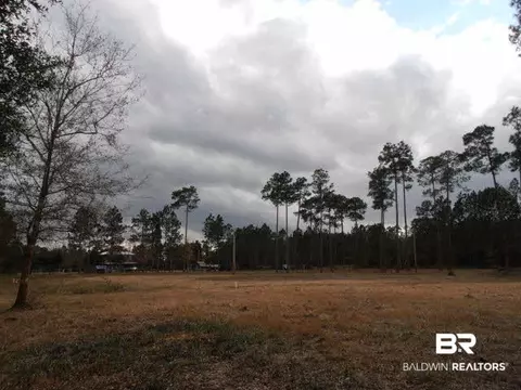 29409 Archie Rd, Elberta, AL 36530 photo 19