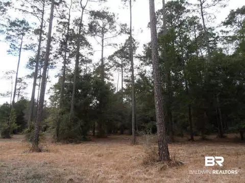 29409 Archie Rd, Elberta, AL 36530 photo 17