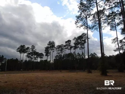 29409 Archie Rd, Elberta, AL 36530 photo 20