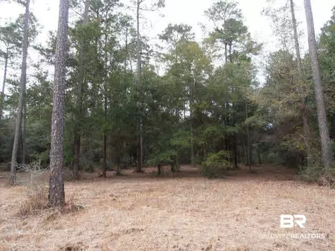 29409 Archie Rd, Elberta, AL 36530 photo 16