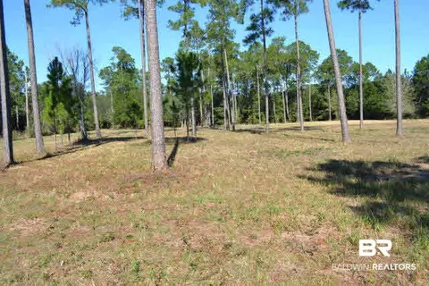 29409 Archie Rd, Elberta, AL 36530 photo 2