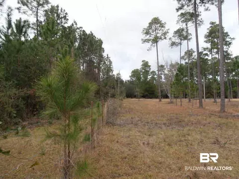 29409 Archie Rd, Elberta, AL 36530 photo 10