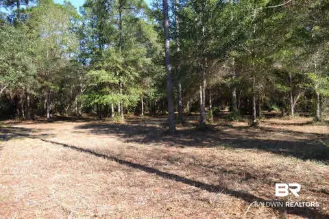 29409 Archie Rd, Elberta, AL 36530 photo 5
