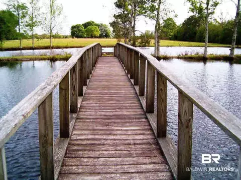 32293 Bartel St, Elberta, AL 36530 photo 10