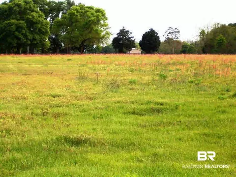 32293 Bartel St, Elberta, AL 36530 photo 8