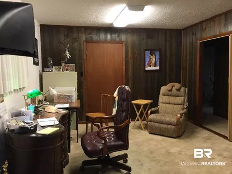 33108 Albert Hollon Ln, Lillian, AL 36549 photo 23