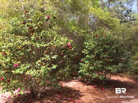 33108 Albert Hollon Ln, Lillian, AL 36549 photo 31
