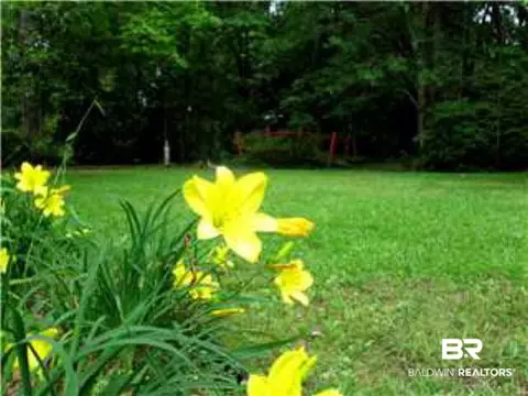 4153 S Spring Valley Dr, Mobile, AL 36693 photo 17