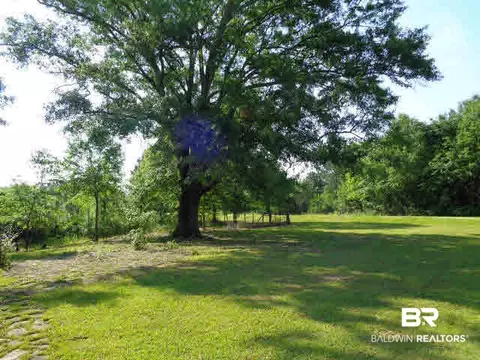 2200 County Road 14, Range, AL 36473 photo 13