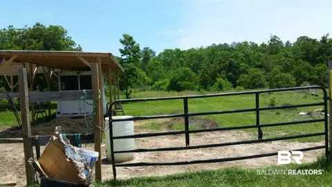 14143 N Baptist Ballpark Rd, Stapleton, AL 36578 photo 16