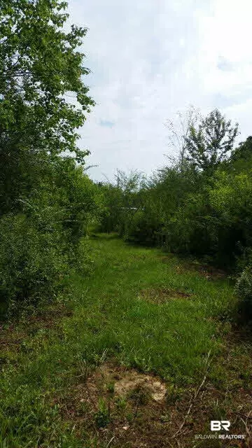 14143 N Baptist Ballpark Rd, Stapleton, AL 36578 photo 20