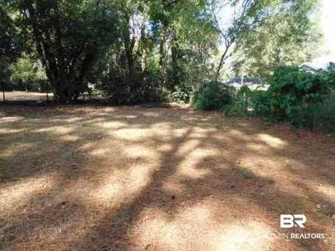 27 Chadwick Ct, Mobile, AL 36606 photo 22