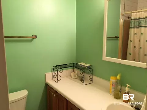 9418 Hammock Rd, Elberta, AL 36530 photo 10