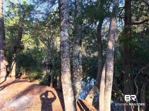 9418 Hammock Rd, Elberta, AL 36530 photo 15