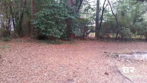 1157 Harvard Dr, Mobile, AL 36618 photo 14