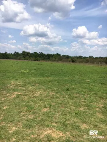 2075 Brownsdale Loop Rd, Jay, FL 32565 photo 7